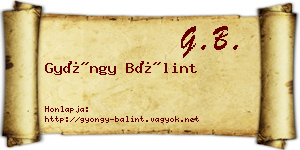 Gyöngy Bálint névjegykártya