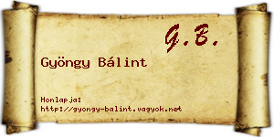 Gyöngy Bálint névjegykártya